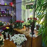 Холодильник для цветов из окон ПВХ